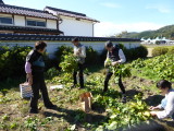 img0016.jpg