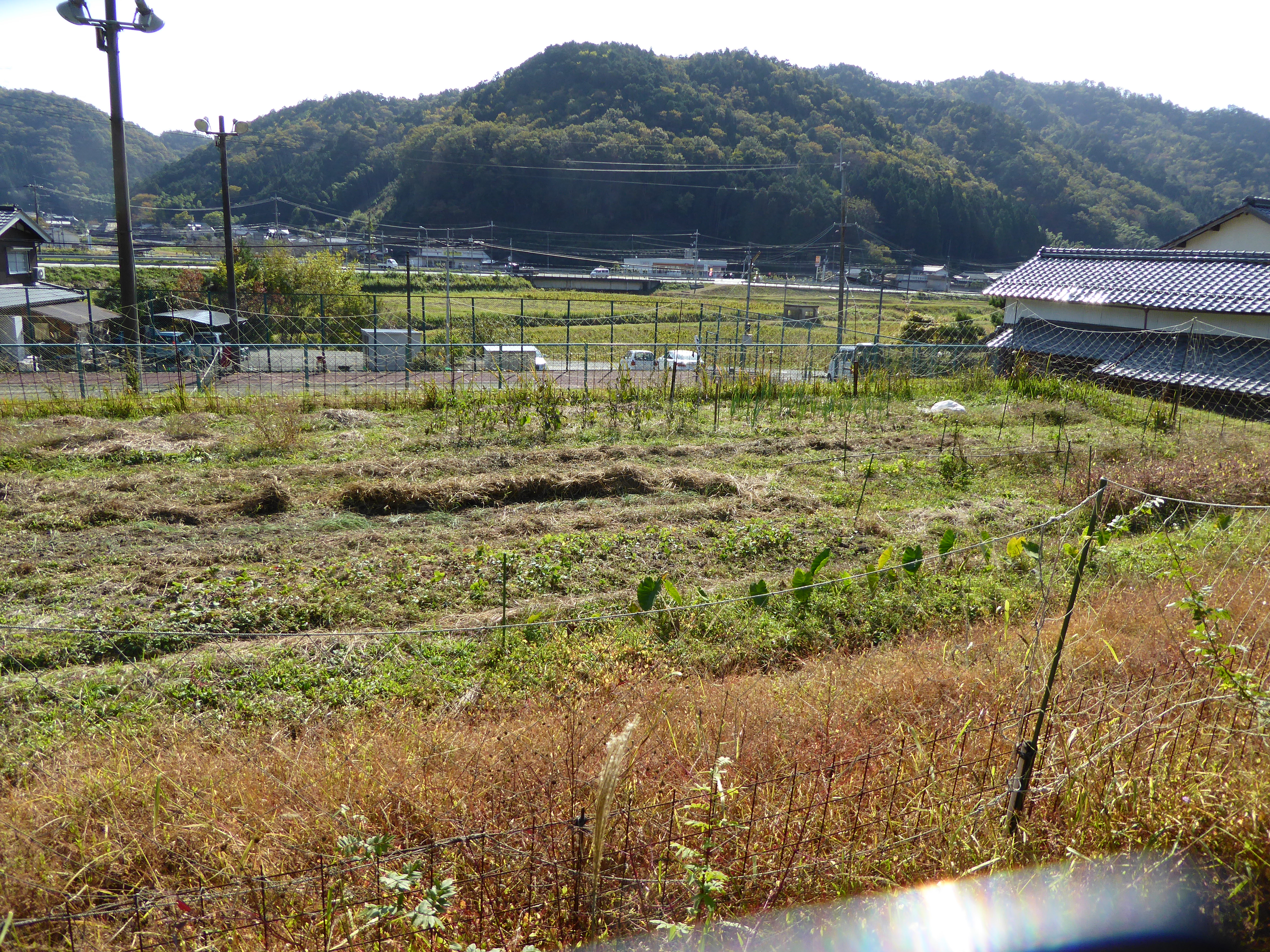 P1040594.JPG