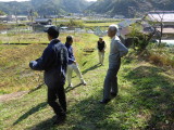 img0039.jpg