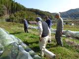 img0046.jpg