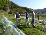 img0047.jpg