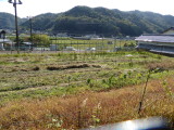 img0050.jpg