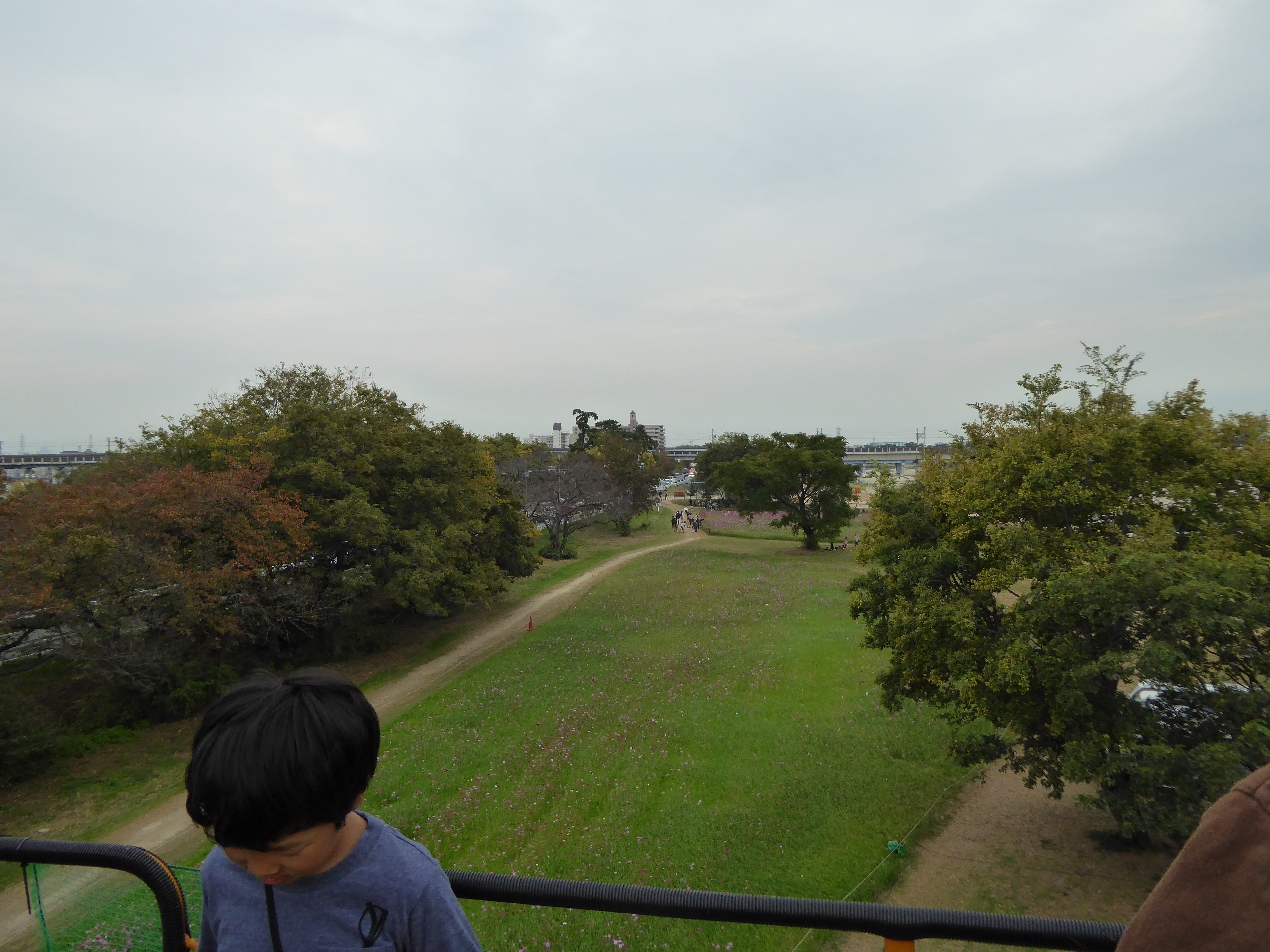P1040637.JPG