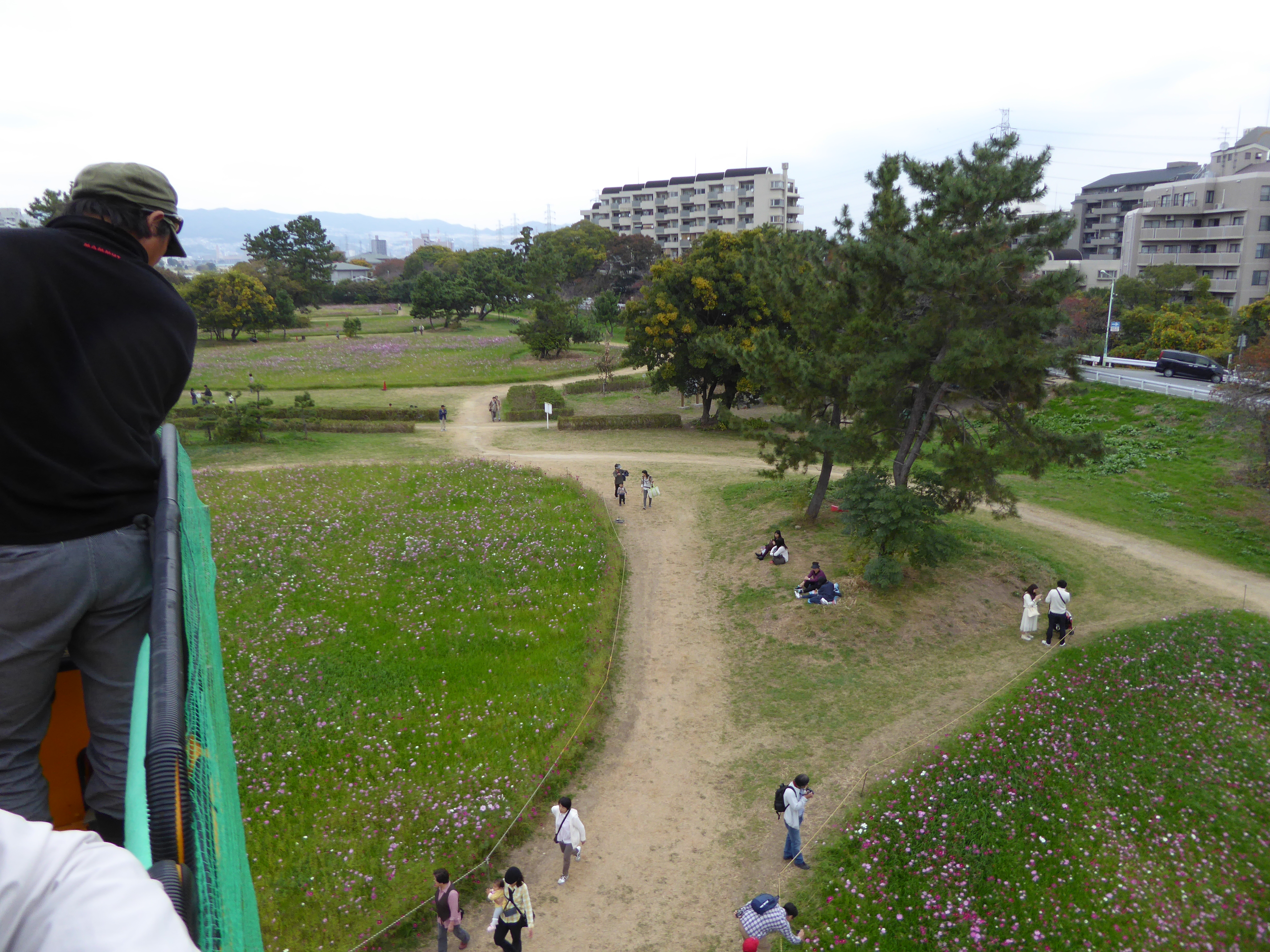 P1040638.JPG