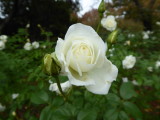 img0006.jpg