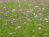 img0011.jpg