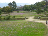 img0014.jpg