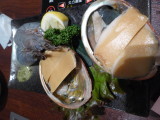 img0004.jpg