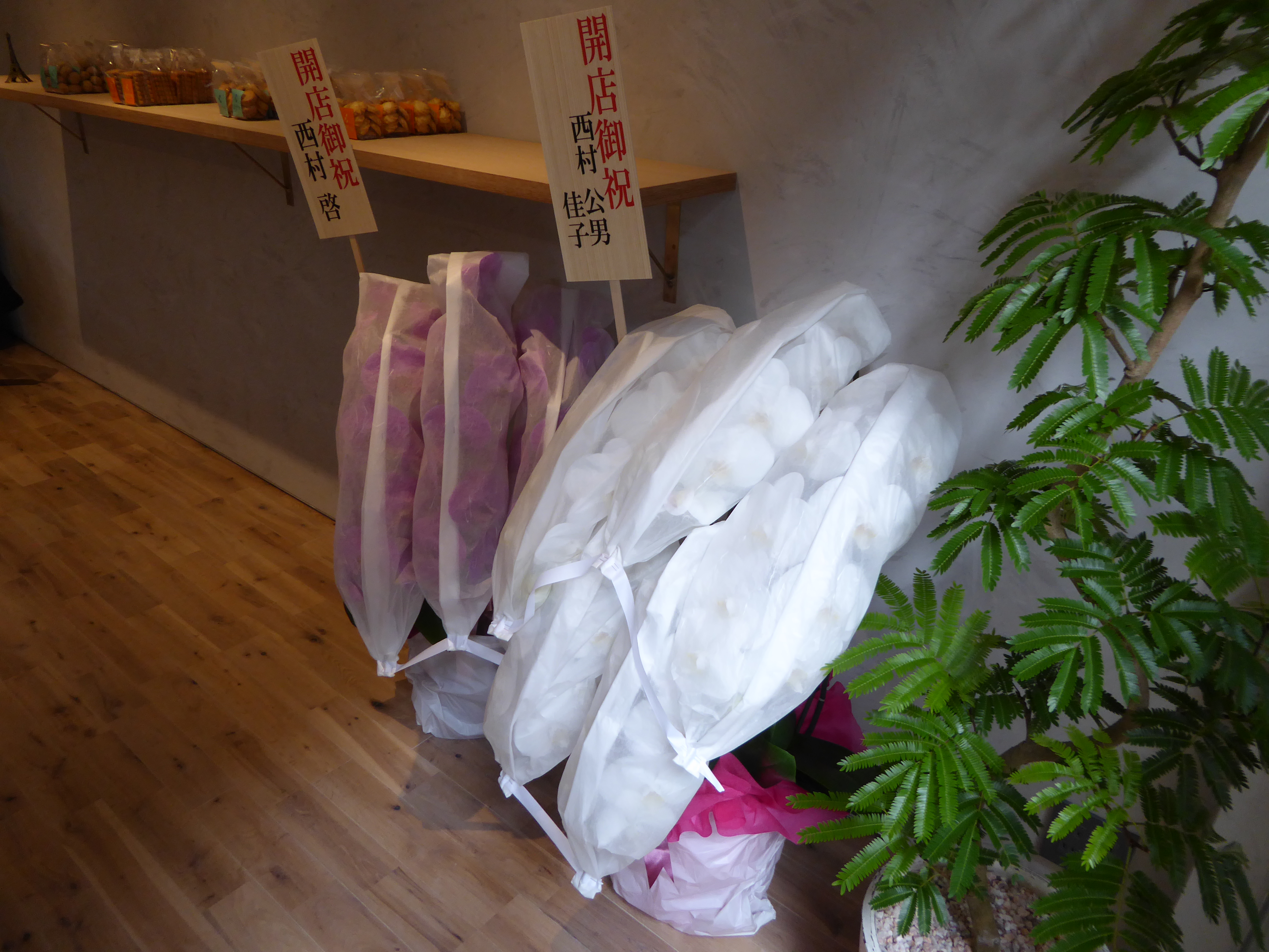 P1040727.JPG