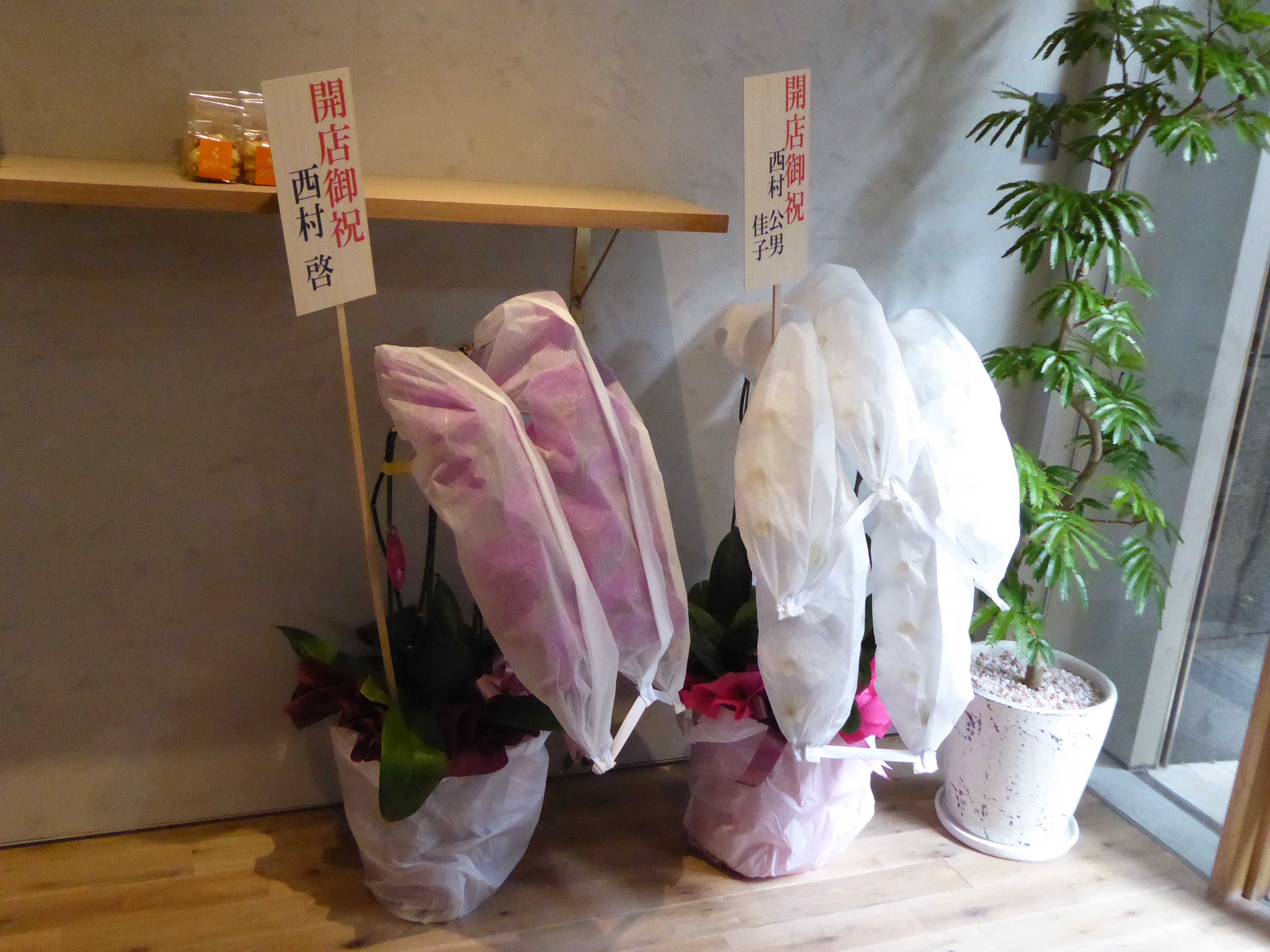 P1040730.JPG
