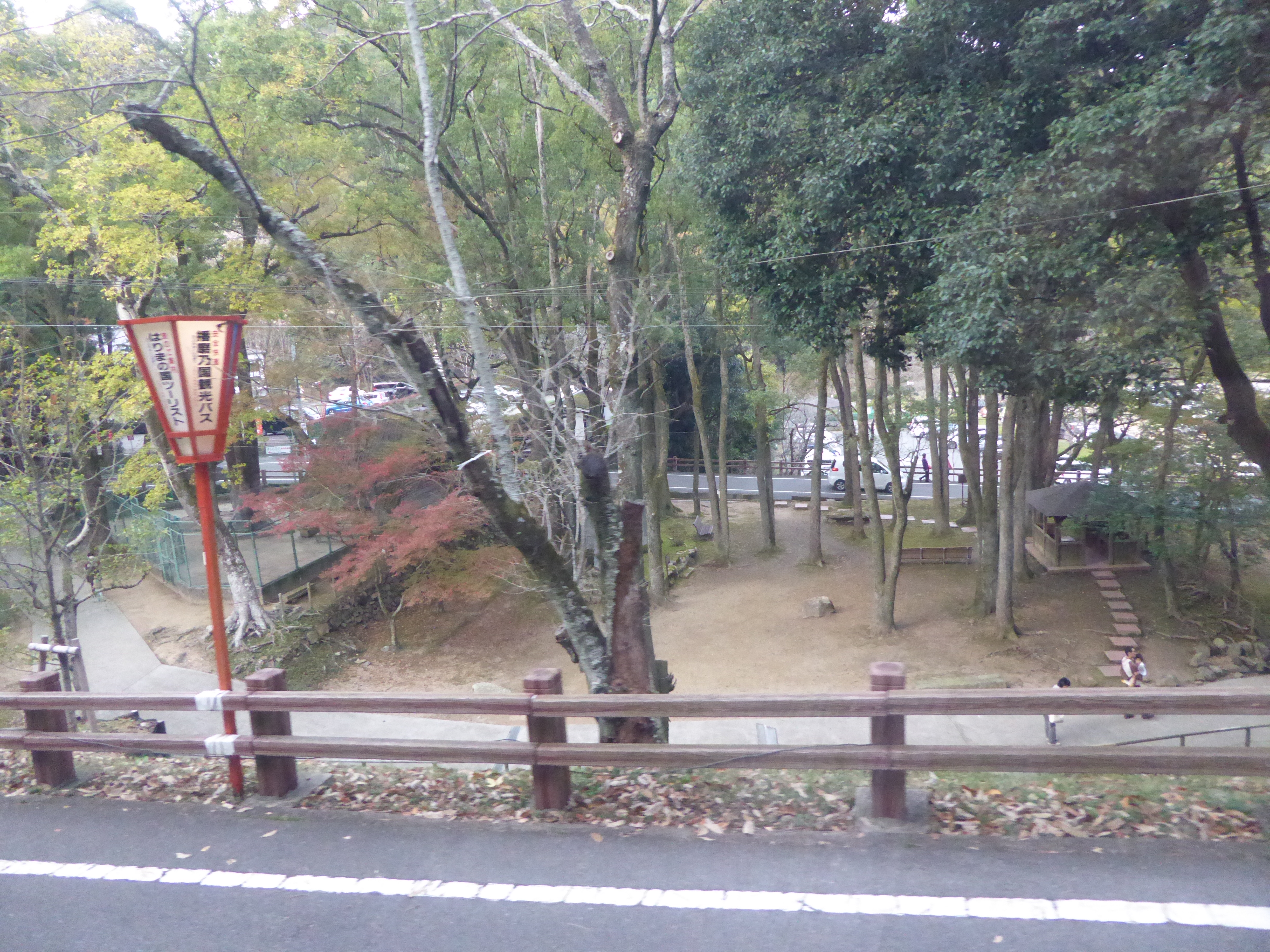 P1040815.JPG
