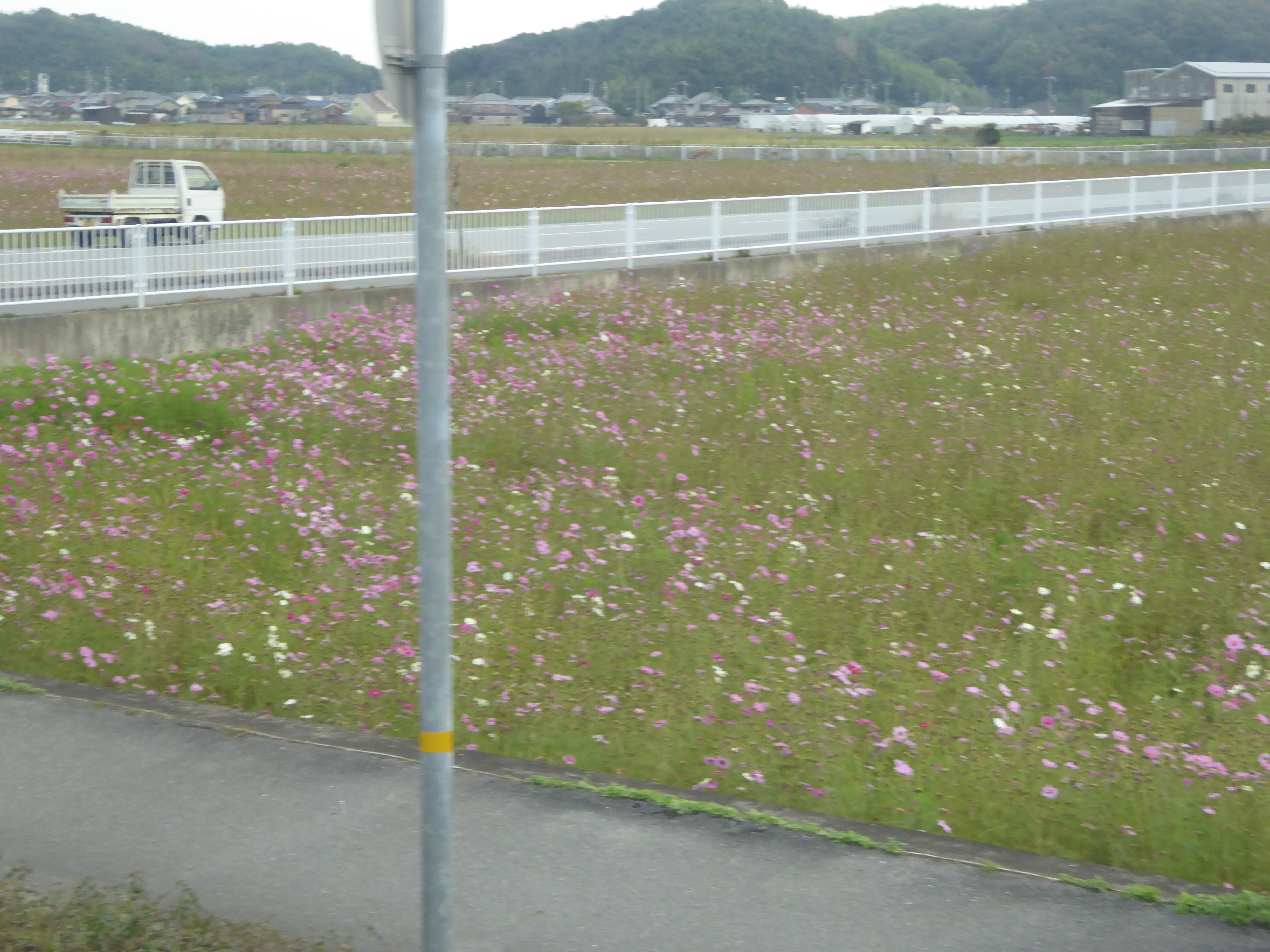 P1040818.JPG