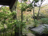 img0004.jpg