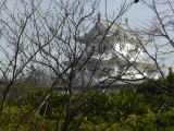 img0029.jpg
