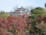 img0030.jpg