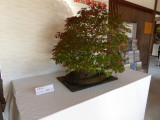 img0031.jpg