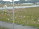 img0060.jpg