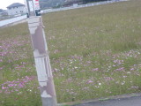 img0061.jpg