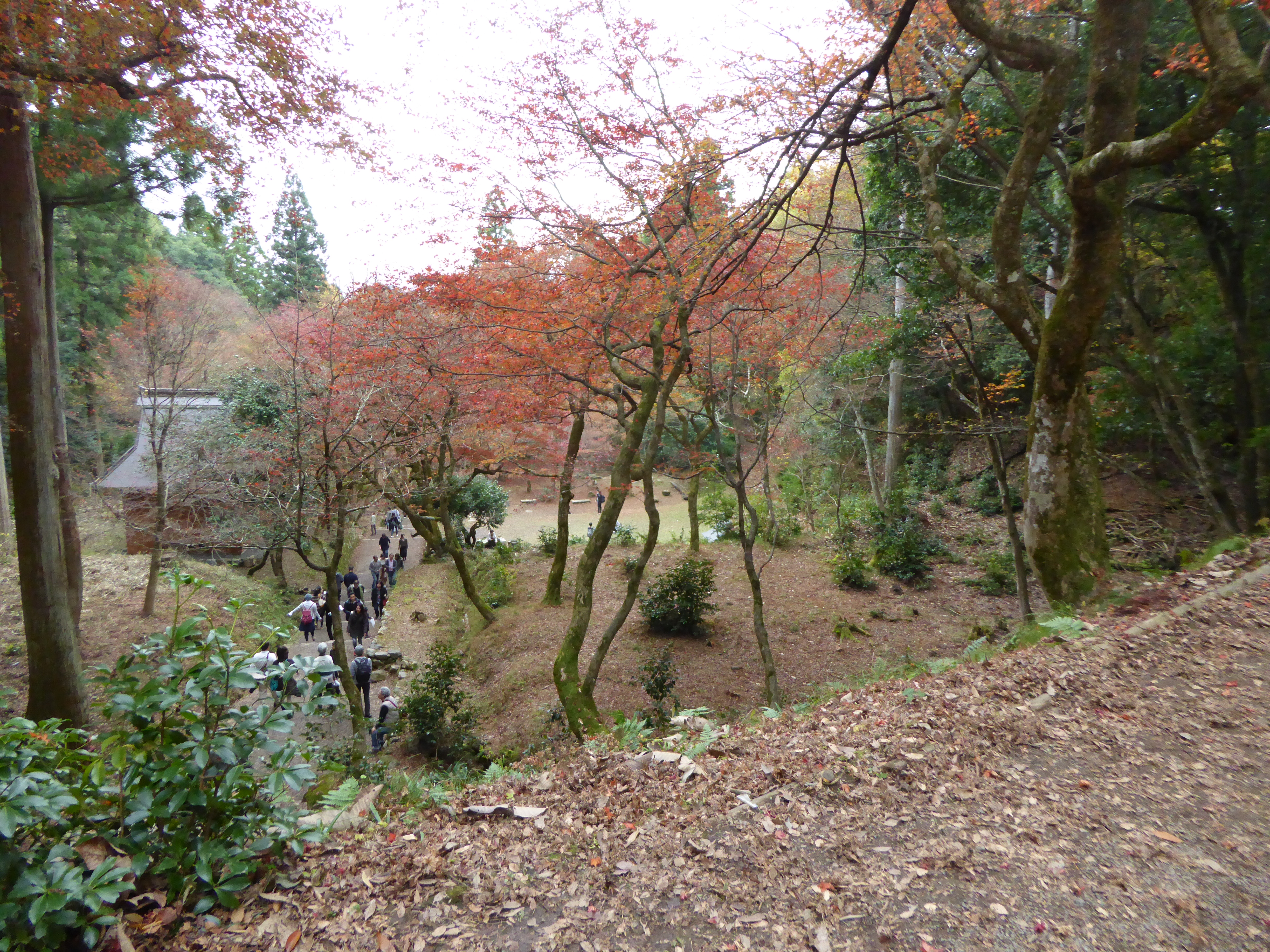 P1040831.JPG