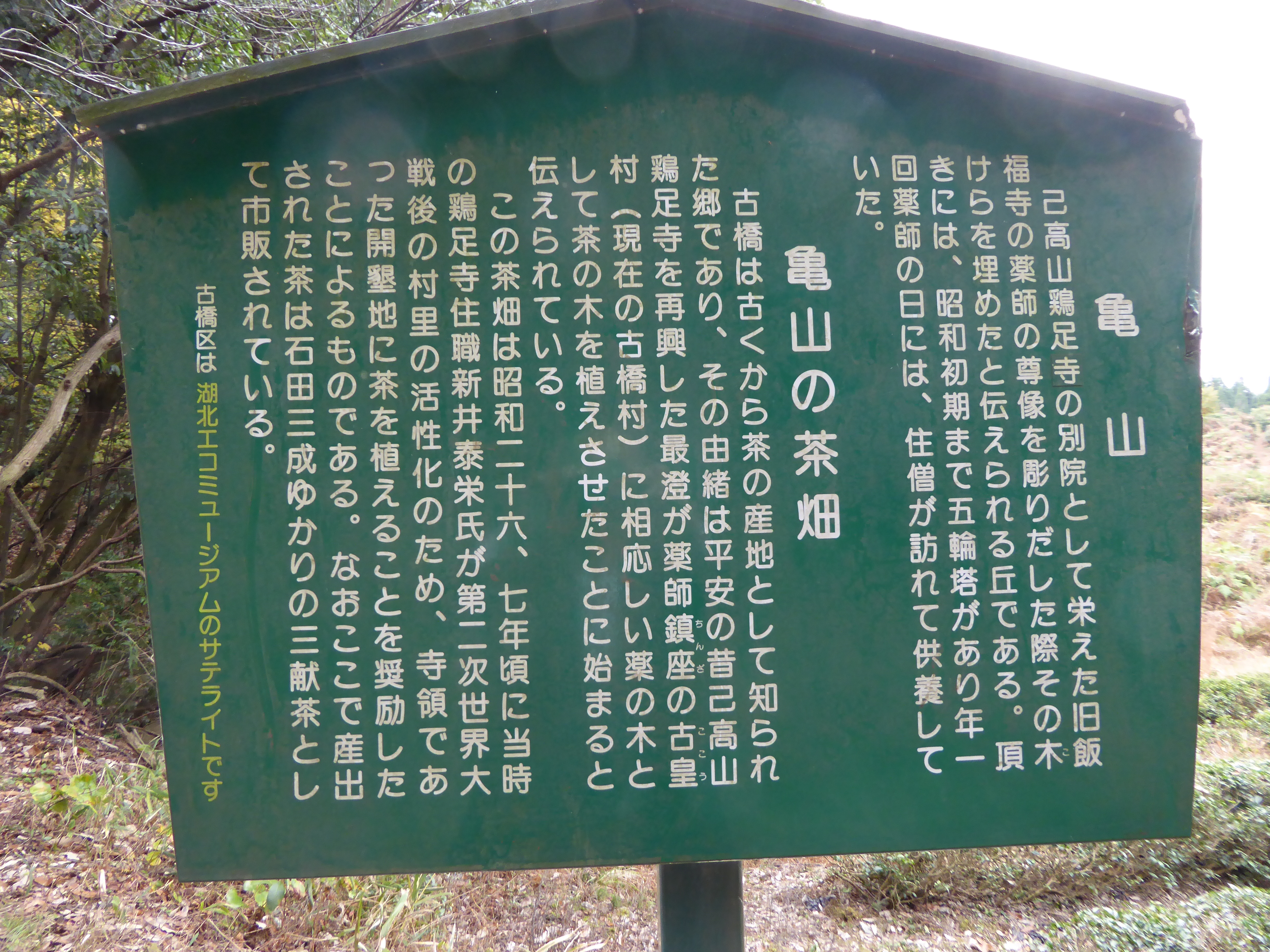 P1040835.JPG