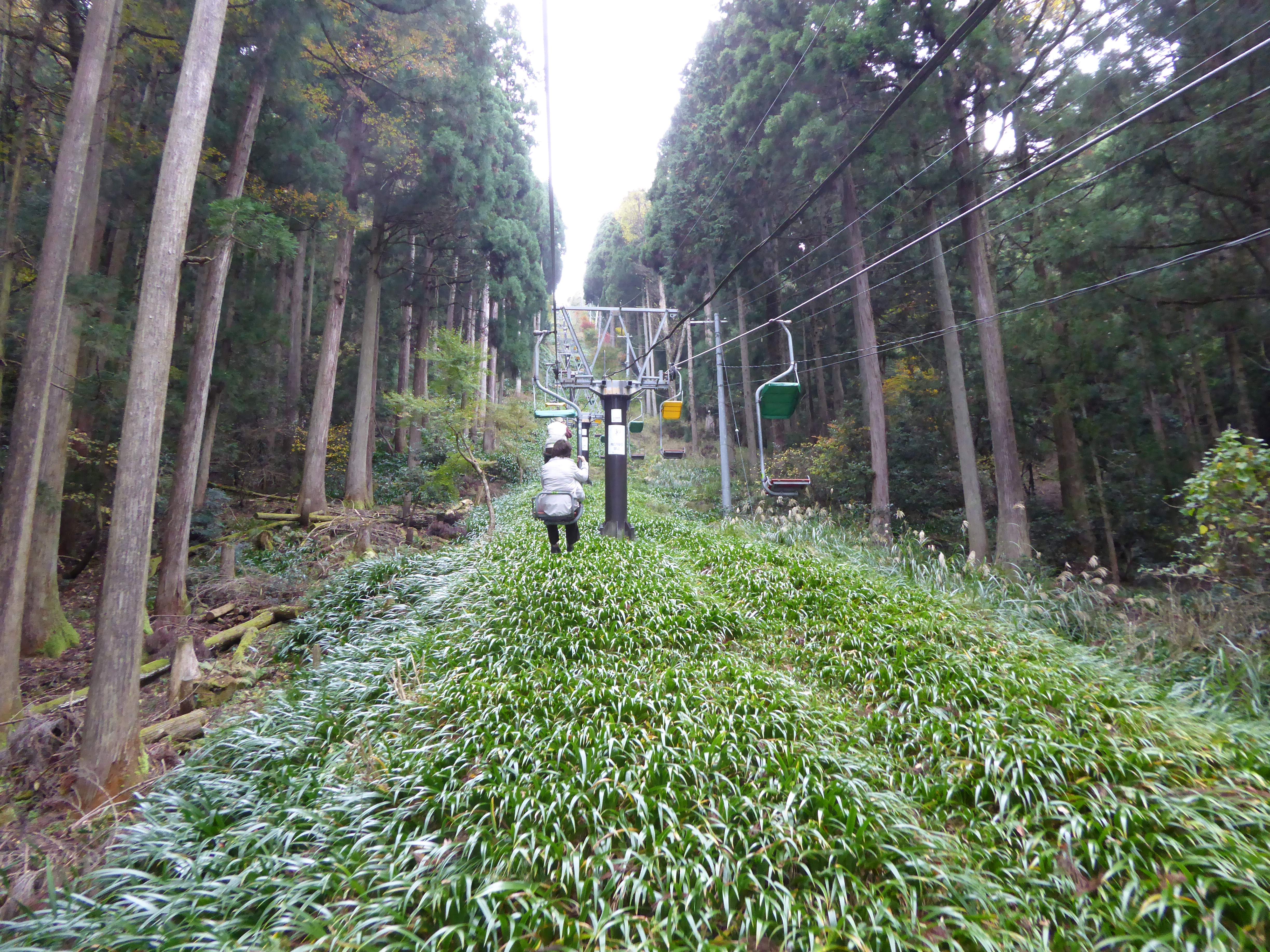 P1040846.JPG