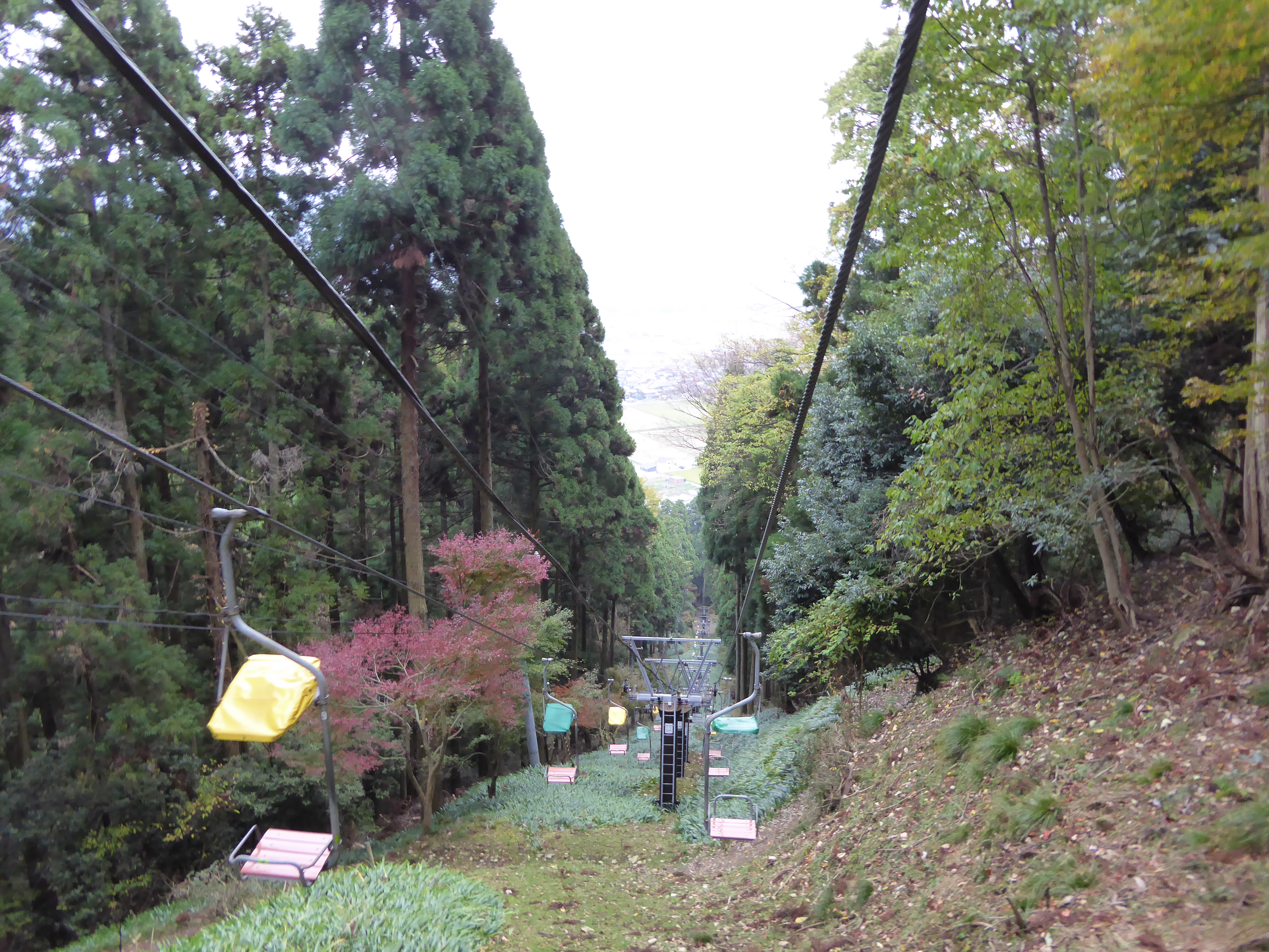 P1040848.JPG