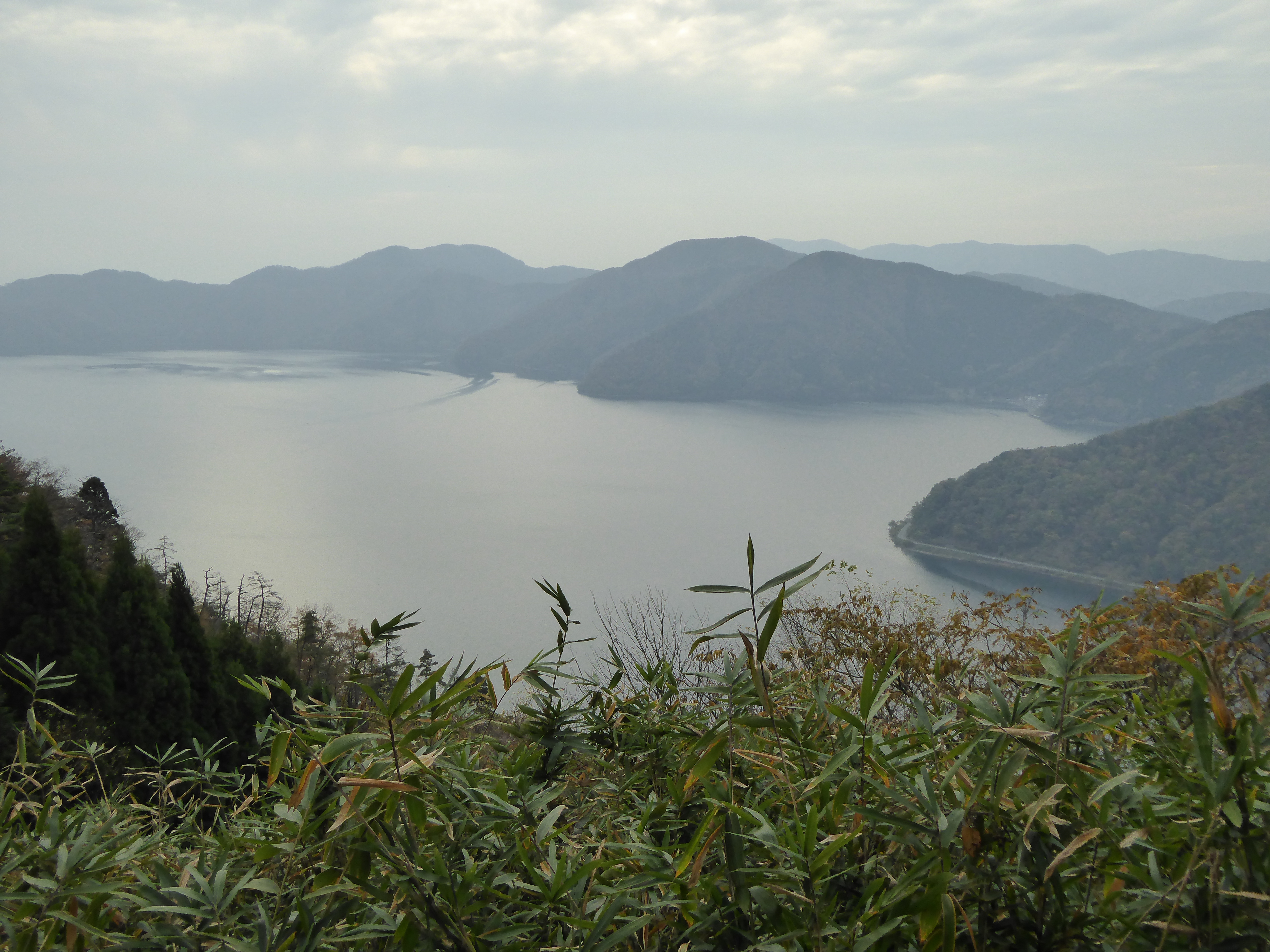 P1040854.JPG