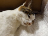 img0002.jpg