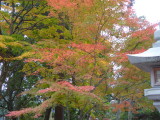 img0005.jpg