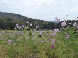 img0007.jpg
