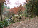 img0011.jpg