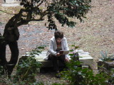 img0012.jpg
