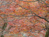 img0013.jpg