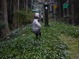 img0022.jpg