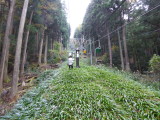 img0024.jpg