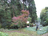 img0025.jpg