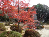 img0006.jpg