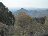 img0007.jpg