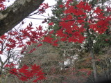 img0010.jpg