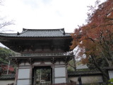 img0003.jpg