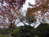 img0004.jpg