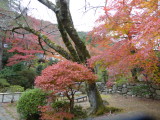 img0006.jpg