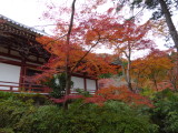 img0010.jpg