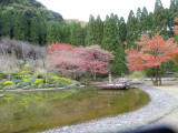 img0011.jpg