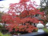 img0013.jpg