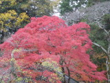 img0018.jpg