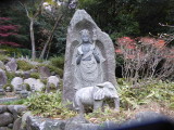 img0019.jpg