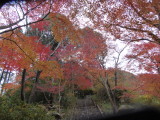 img0021.jpg