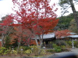 img0026.jpg