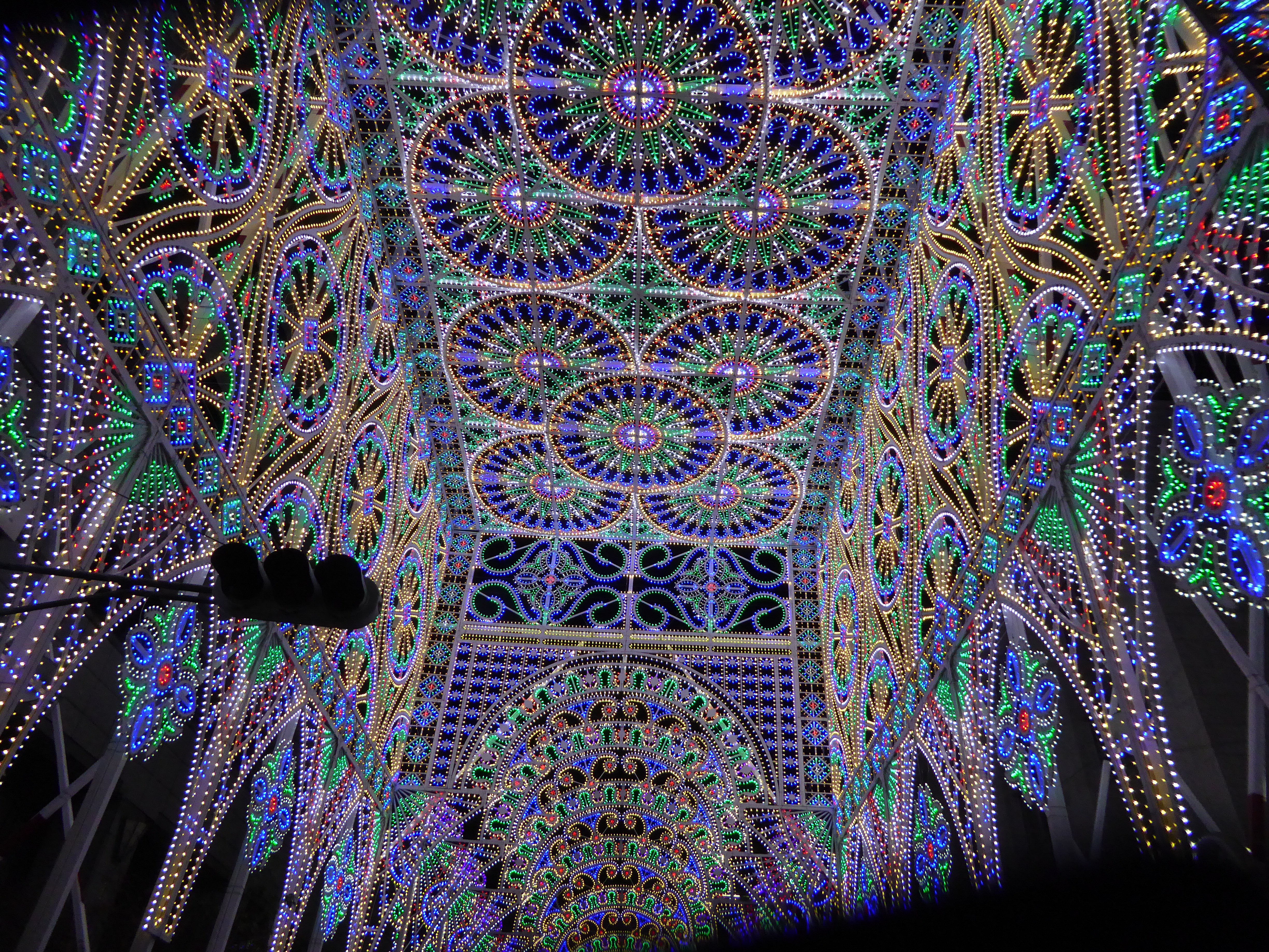 P1040964.JPG